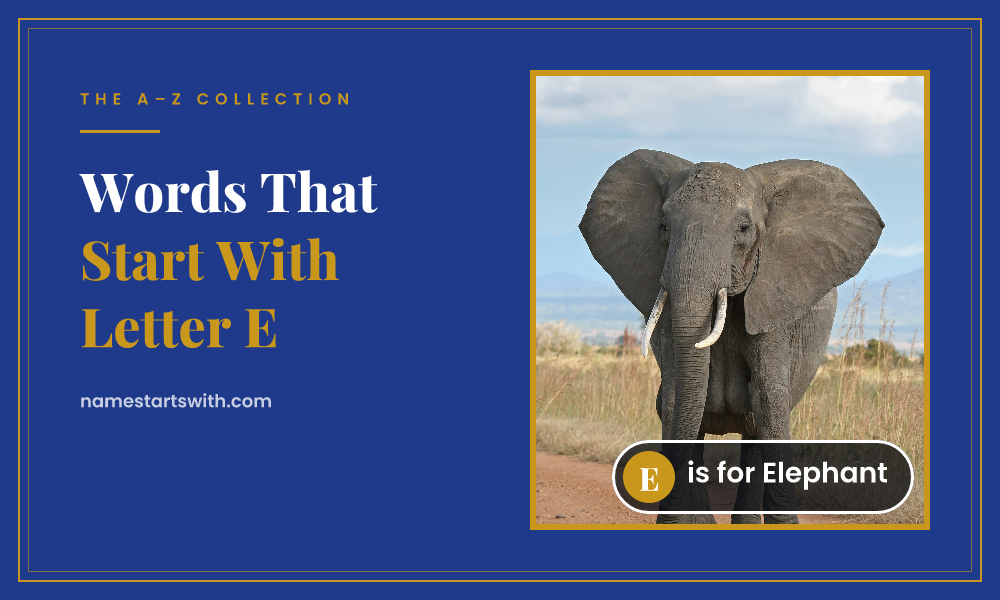 Elephant — words that start with E